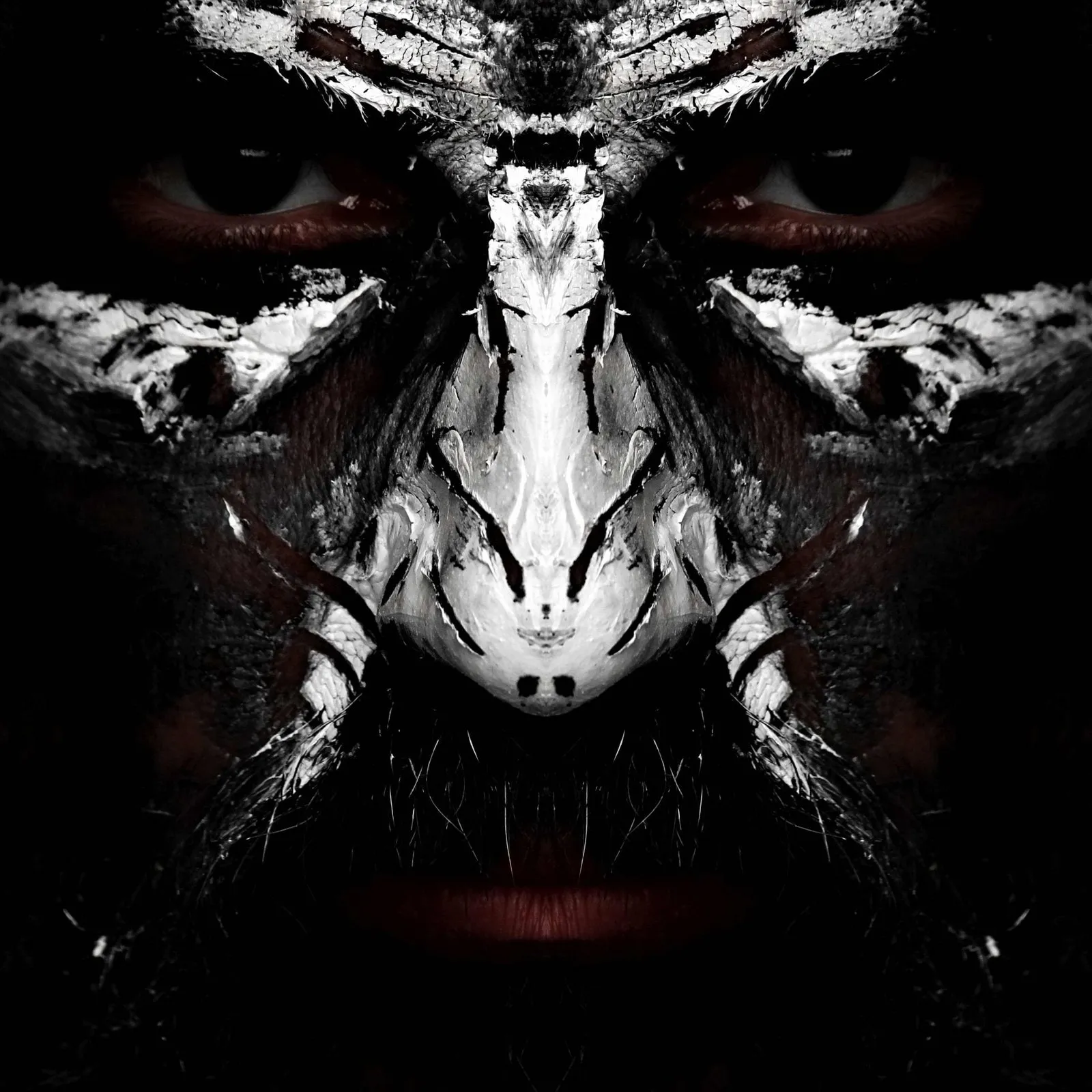 Nona · cover art